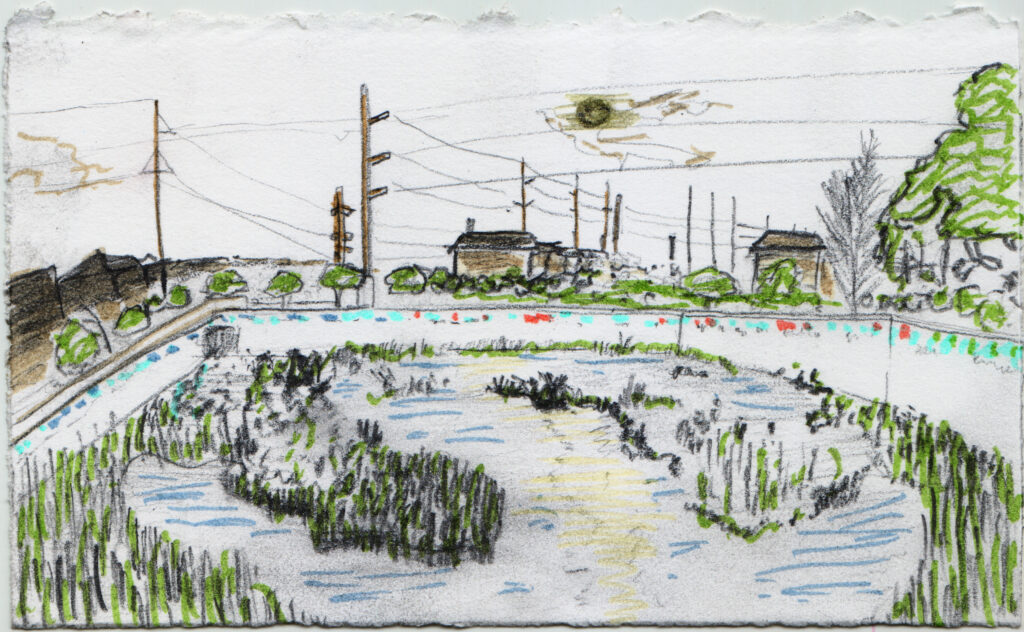 lake_anita