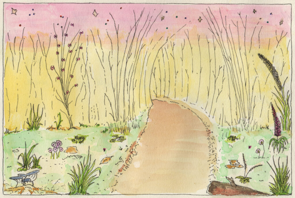rabbit trail_ig
